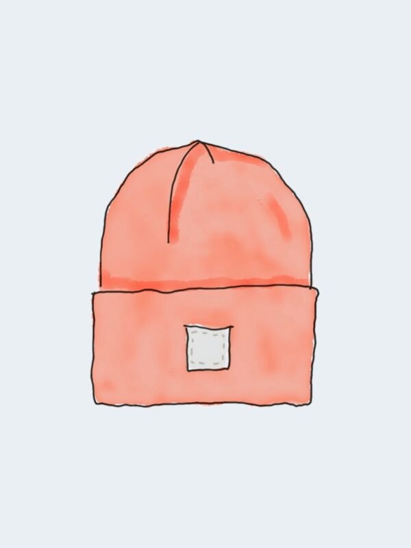 St. Louis beanie