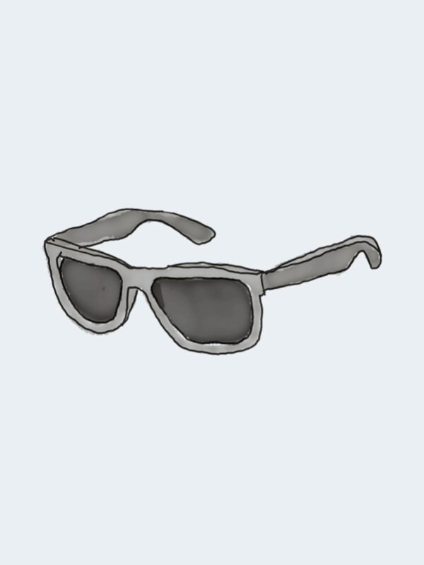 Grand Rapids Sunglasses